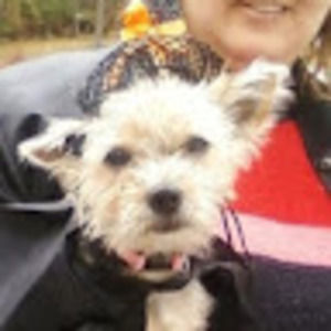 Meet your Posher, Kim